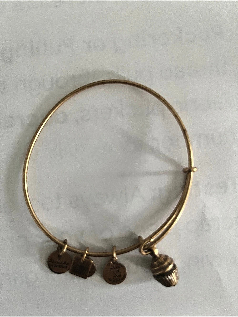 Alex and Ani Unexpected Blessings Acorn Charm Bangle Bracelet
